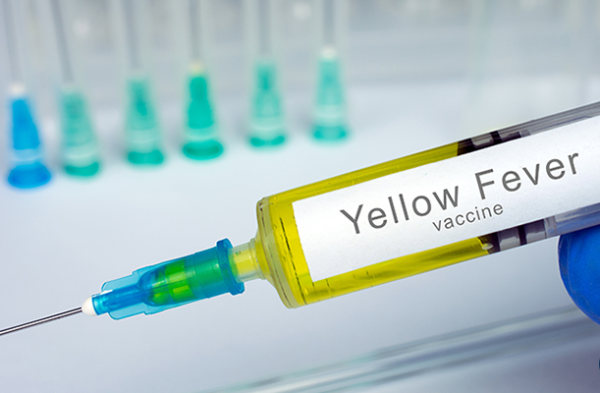 Yellow Fever Vaccination